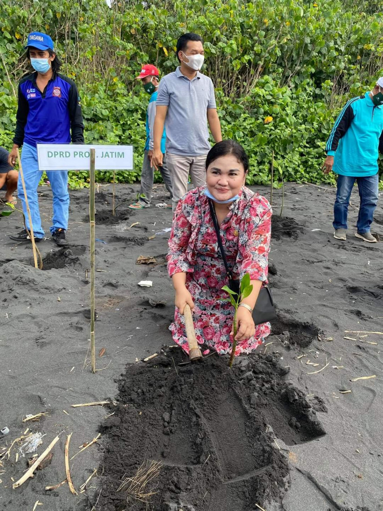 Sambut HKB, HPL Lakukan Penanaman Mangrove Dan Cemara Udang