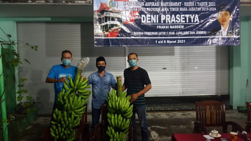 Deni Prasetya Sulap Lahan Tidur jadi Lahan Produktif