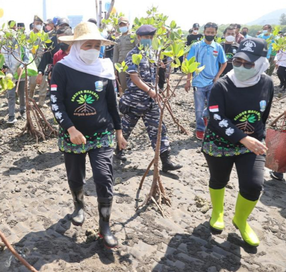 Gubernur Khofifah dan Anik Maslachah Kompak Nandur Mangrove di Pantai Bohay