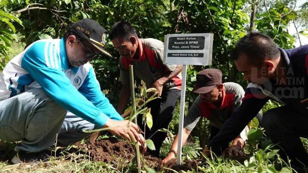 DPRD Jatim Tanam Ribuan Pohon Durian dan Alpukat di Probolinggo