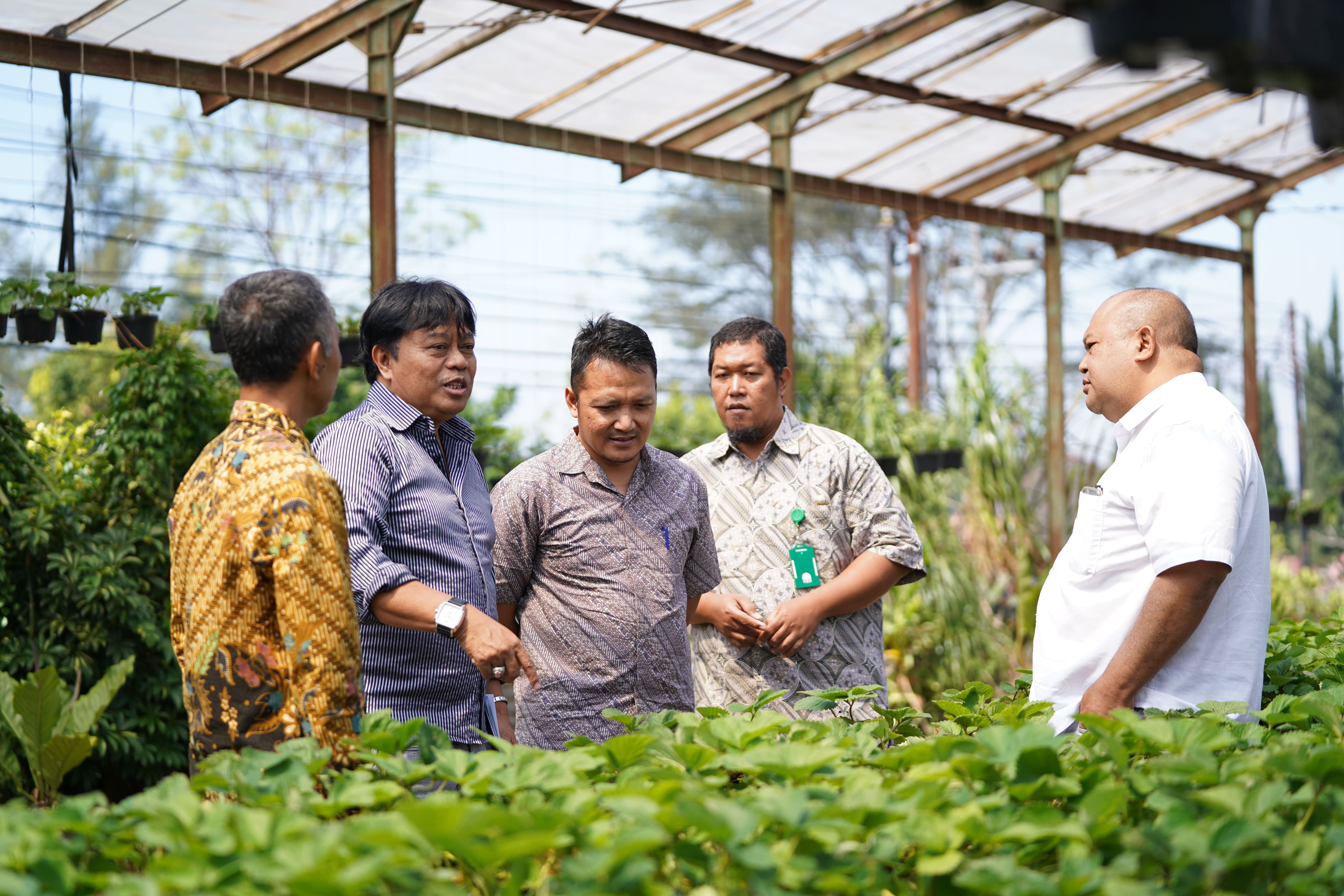 Komisi B Dorong Penambahan Anggaran Dalam Upaya Optimalisasi Produksi Massal di UPT. Pengembangan Benih Hortikultura
