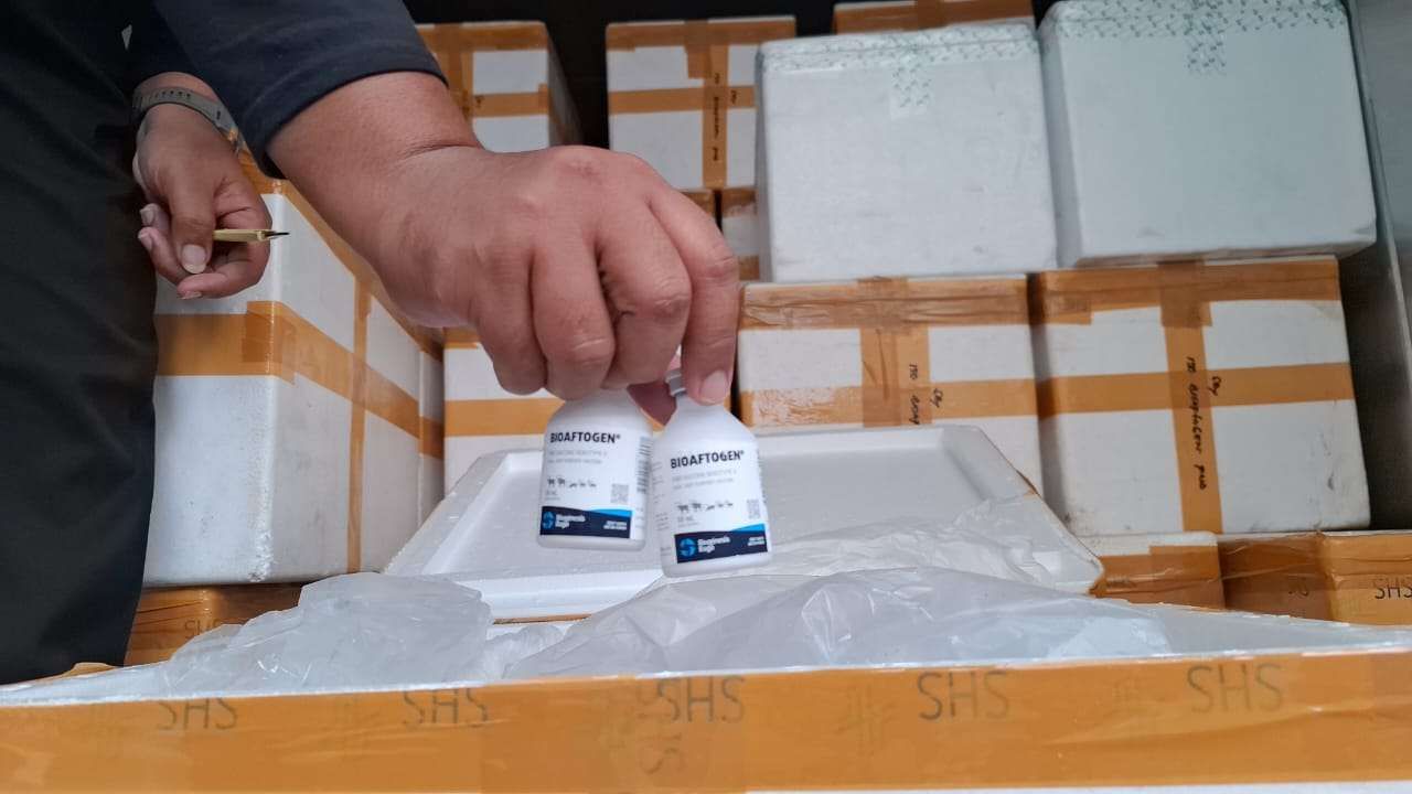 DPRD Dukung Pemprov Tangani Wabah PMK di Jatim