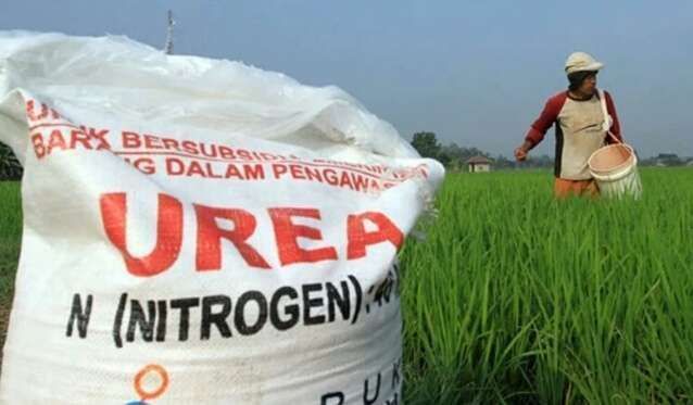 Dewan Jatim Berharap, KMP Perbaiki Tata Kelola Pupuk