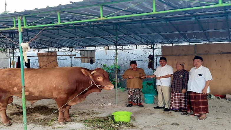 Anggota DPRD Jawa Timur Budiono mendampingi penyerahan sapi kurban berbobot 1,2 ton dari Presiden Prabowo Subianto kepada Pondok Pesantren Modern Al Fatimah Bojonegoro.
